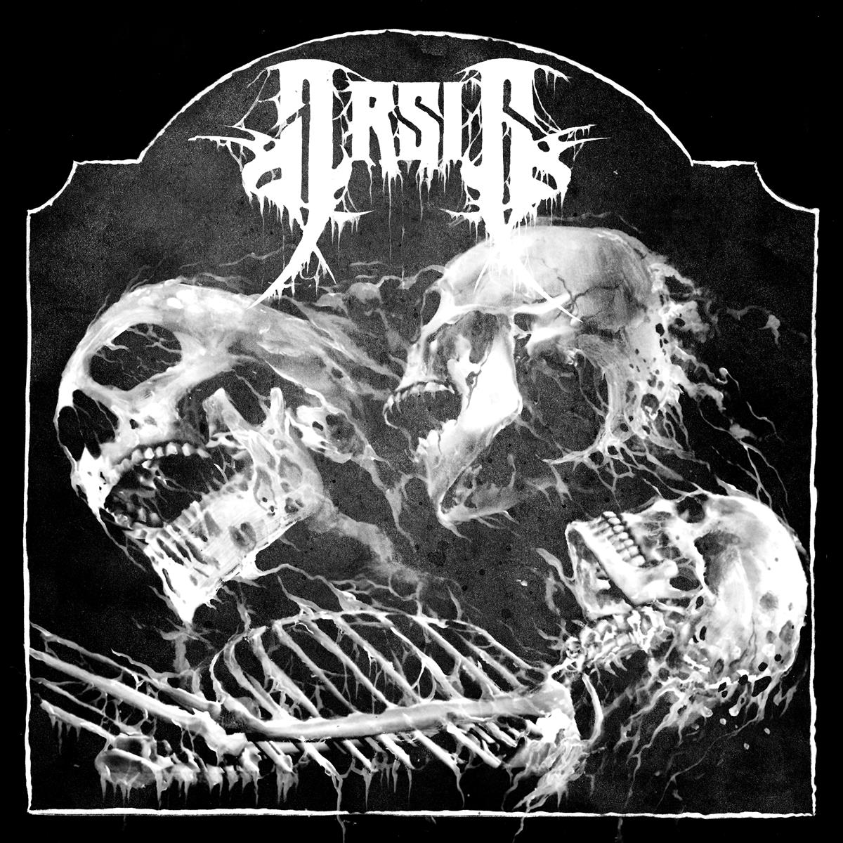 Arsis - Visitant CD