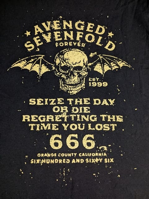 Avenged Sevenfold - Seize The Day T-Shirt