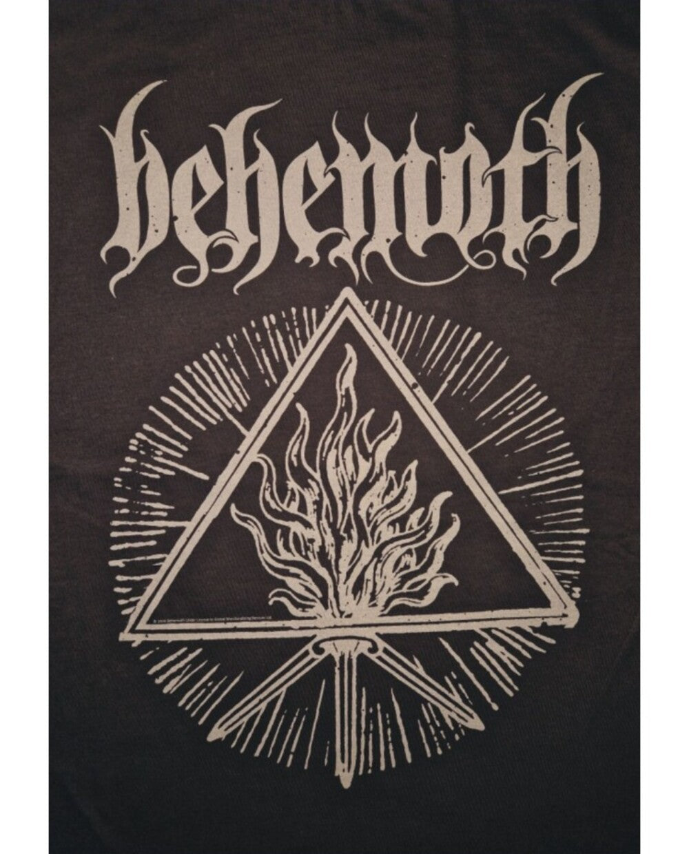 Behemoth - Furor Divinus T-Shirt
