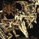 Mord - Necrosodomic Abyss 2-Vinyl