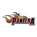 Pantera - Flame Logo Pin
