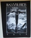 Black Veil Brides - Vale Backpatch Rückenaufnäher