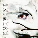 Entwine - Painstained CD