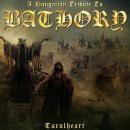Bathory - A Hungarian Tribute To Bathory CD